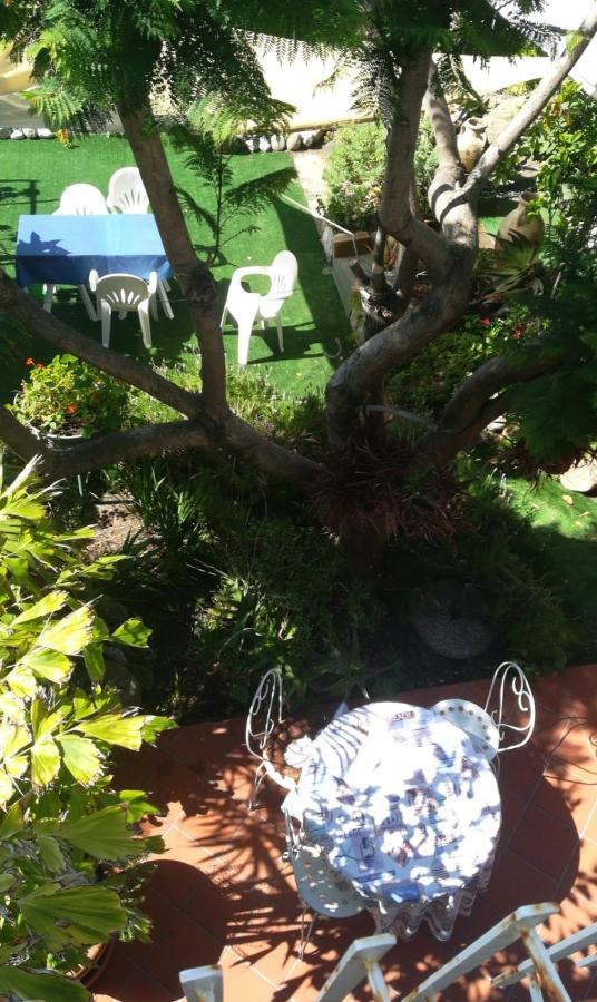 Agriturismo Terre Di Mare Bordighera Vallecrosia Exterior foto