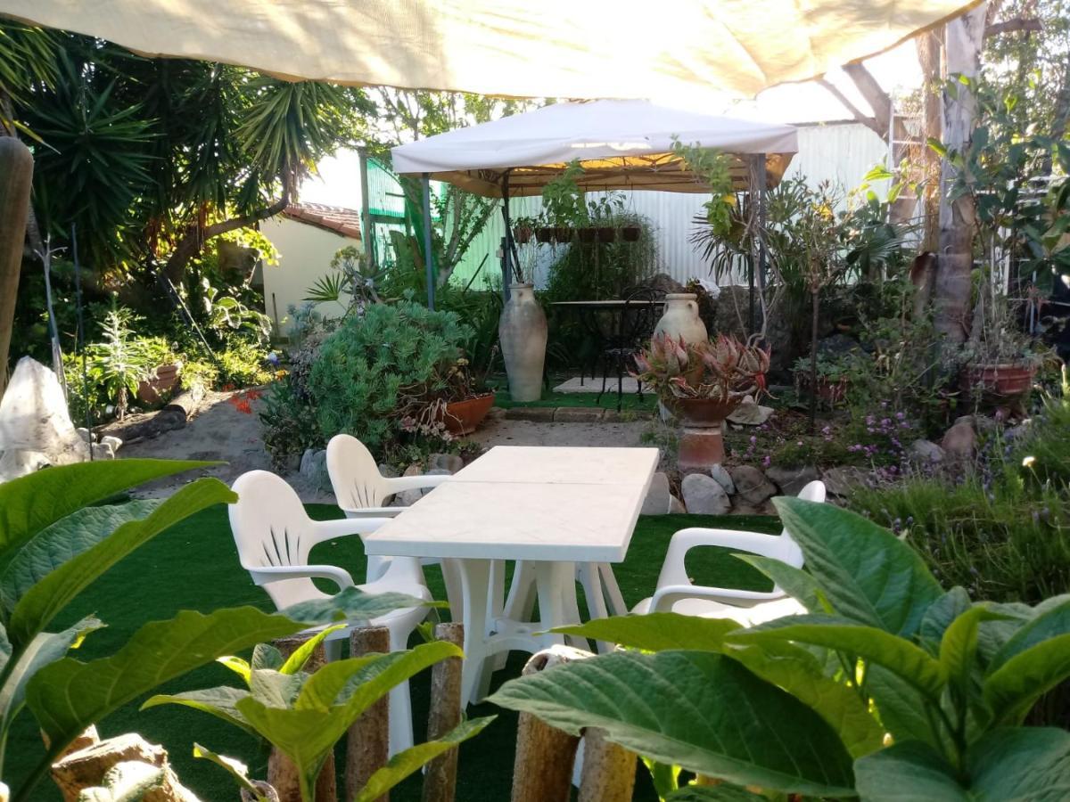 Agriturismo Terre Di Mare Bordighera Vallecrosia Exterior foto